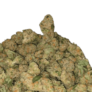 white fire og strain