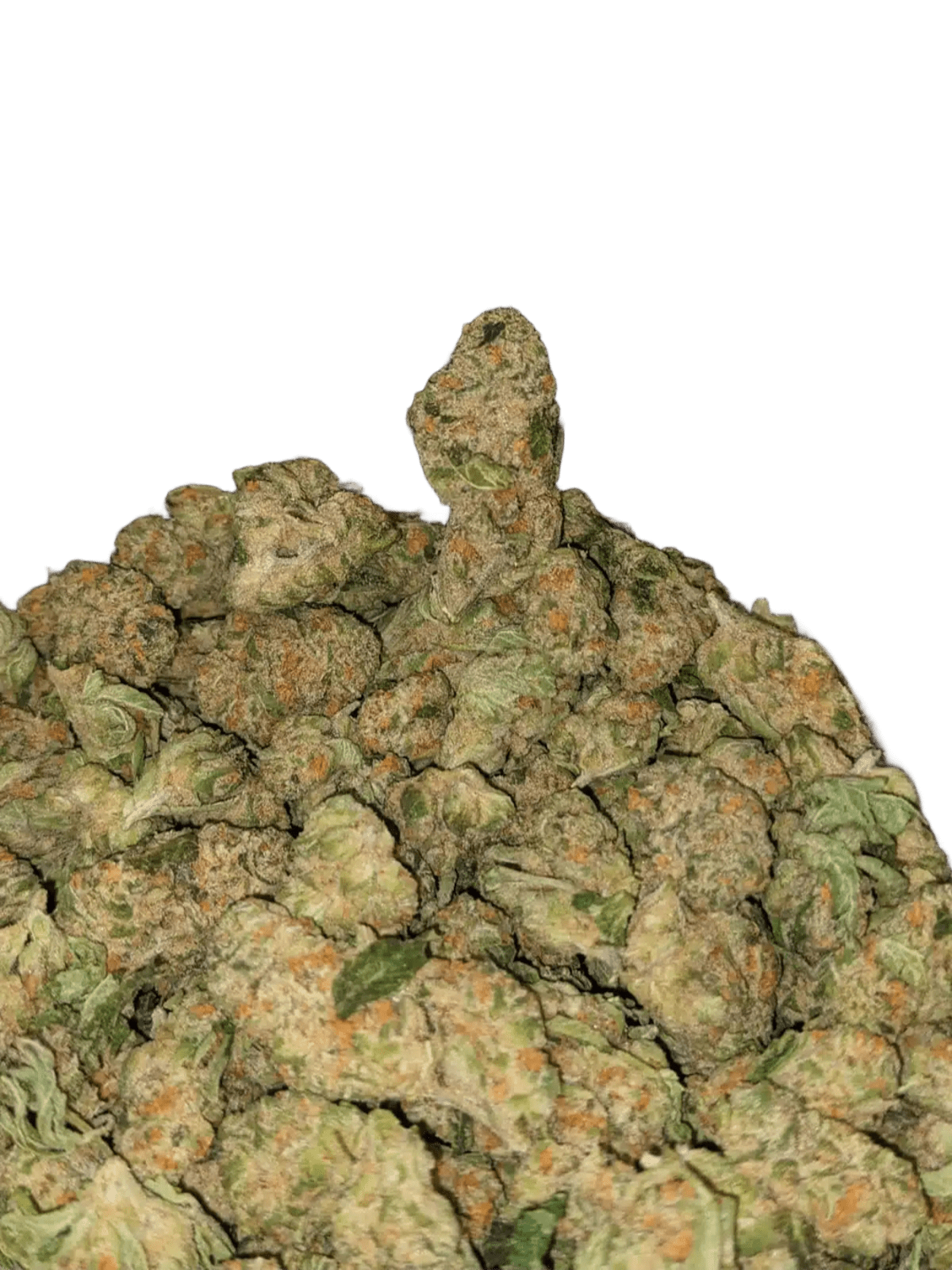 white fire og strain